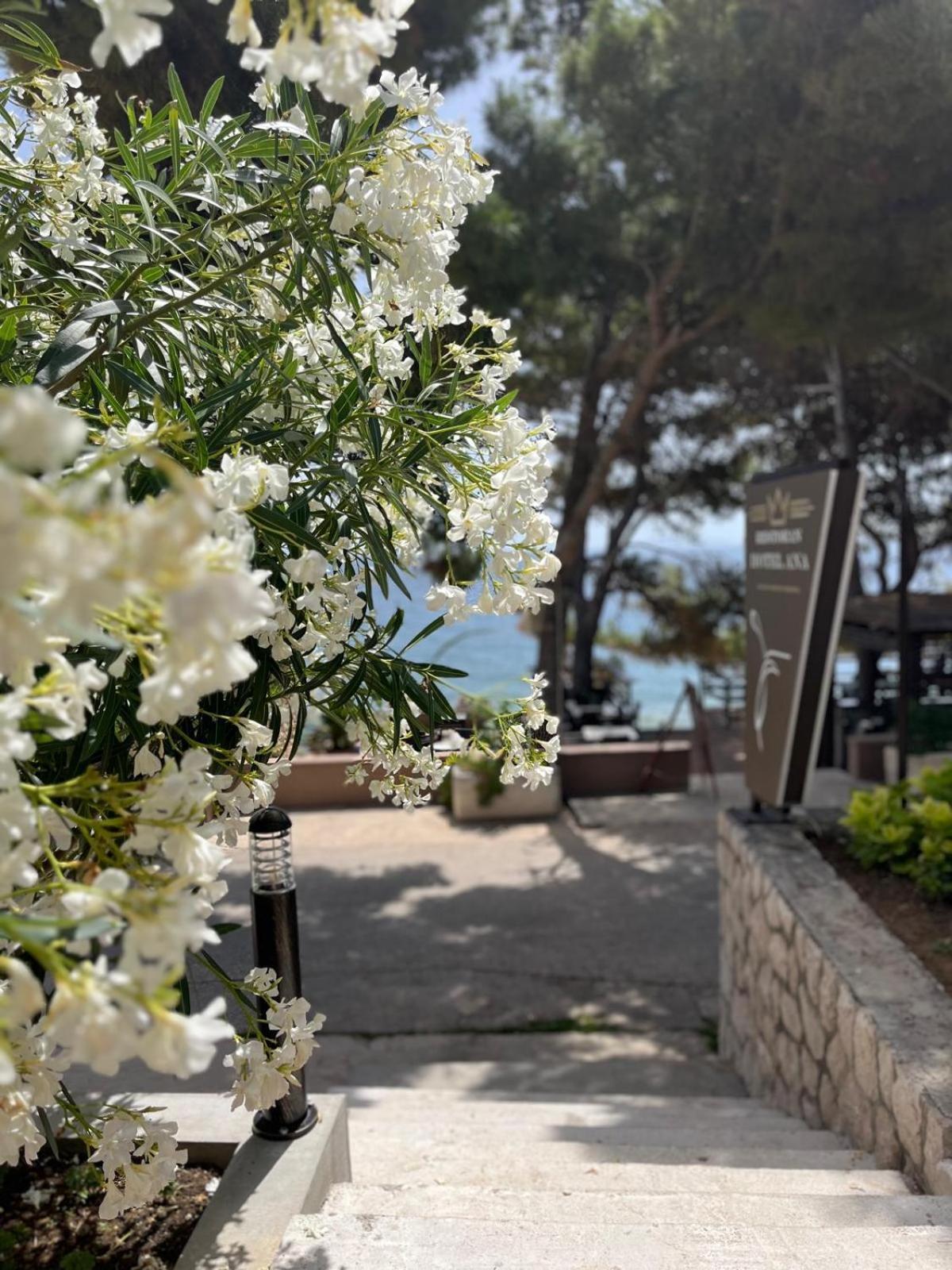 Villa Ana مورتير المظهر الخارجي الصورة
